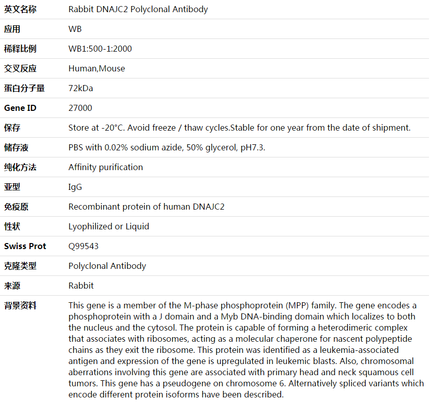 DNAJC2 Antibody,索莱宝,K003832P-100ul