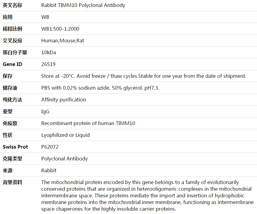 TIMM10 Antibody,索莱宝,K003831P-100ul