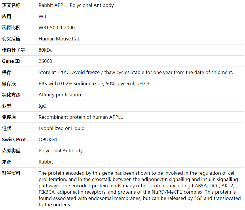 APPL1 Antibody,索莱宝,K003829P-50ul