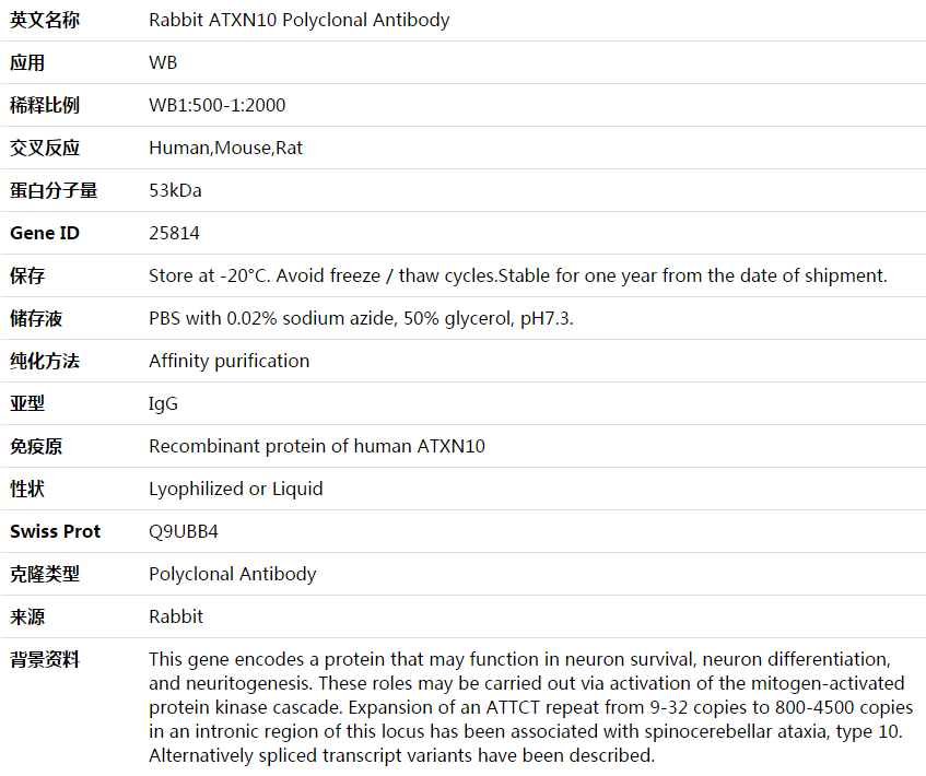ATXN10 Antibody,索莱宝,K003824P-50ul