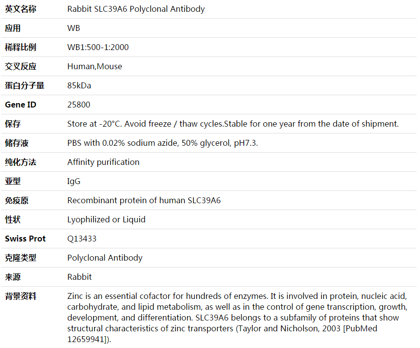 SLC39A6 Antibody,索莱宝,K003823P-100ul