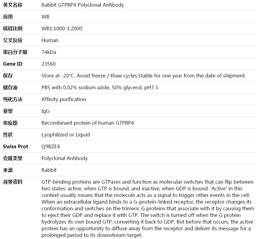 GTPBP4 Antibody,索莱宝,K003821P-100ul