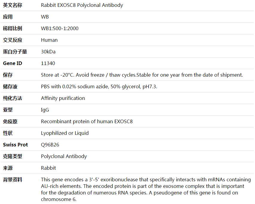 EXOSC8 Antibody,索莱宝,K003815P-50ul