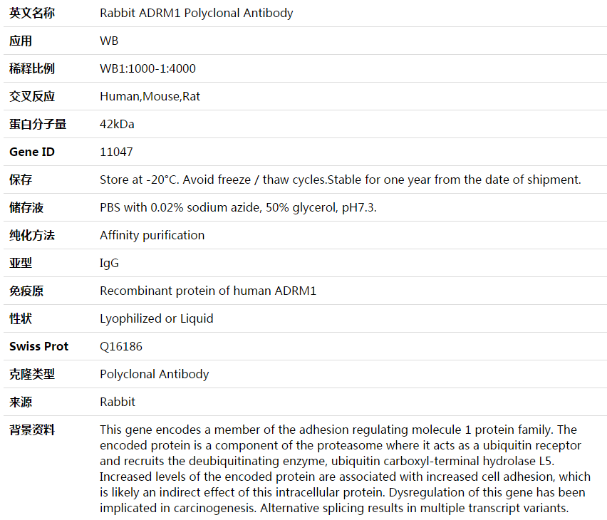 ADRM1 Antibody,索莱宝,K003810P-50ul