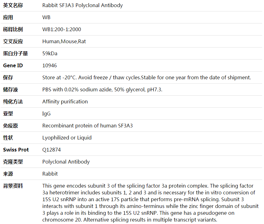 SF3A3 Antibody,索莱宝,K003808P-100ul