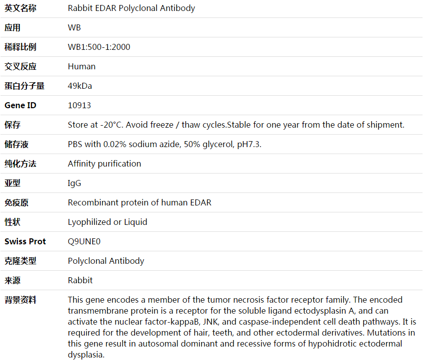EDAR Antibody,索莱宝,K003807P-50ul