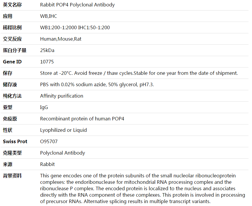 POP4 Antibody,索莱宝,K003806P-50ul