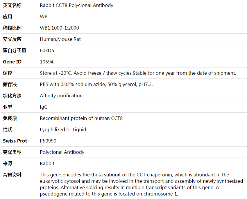 CCT8 Antibody,索莱宝,K003804P-100ul