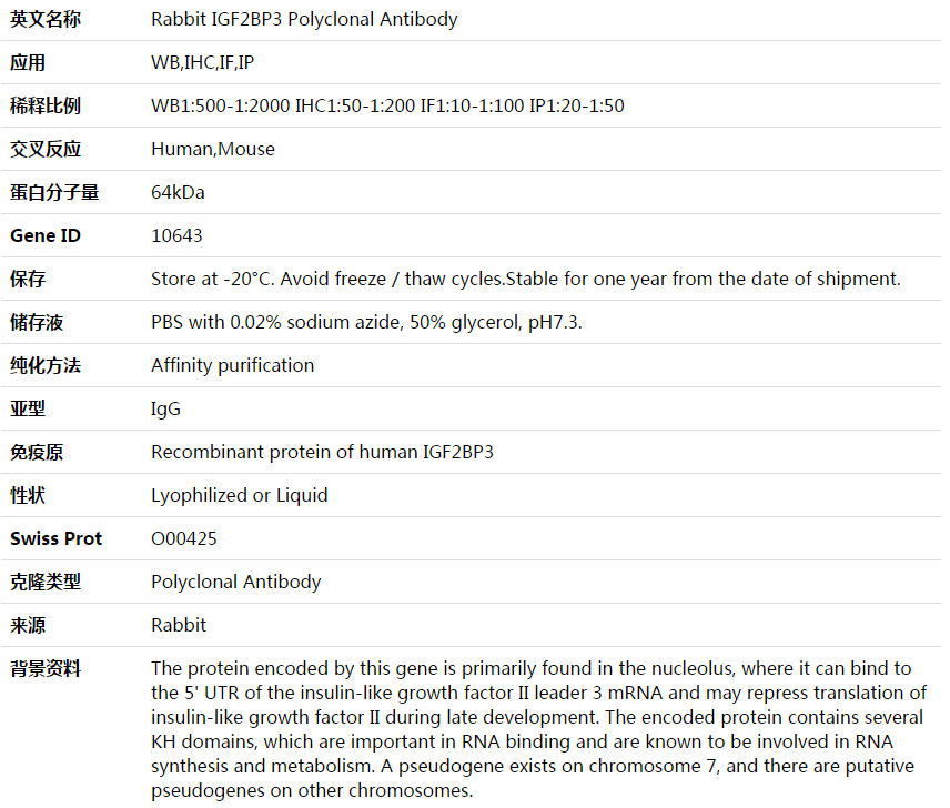 IGF2BP3 Antibody,索莱宝,K003802P-50ul