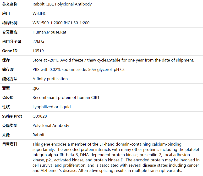 CIB1 Antibody,索莱宝,K003801P-50ul