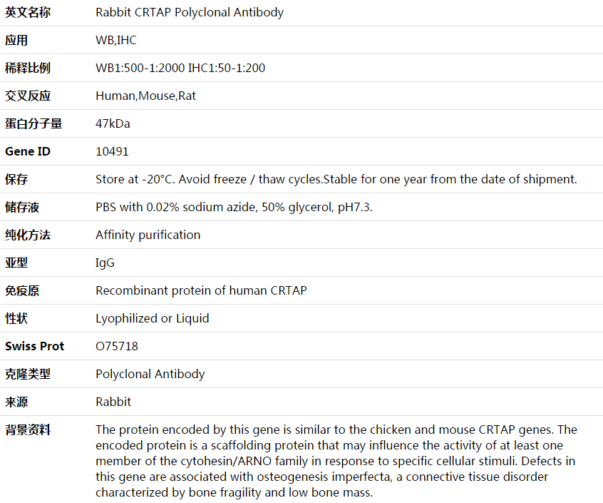 CRTAP Antibody,索莱宝,K003799P-50ul