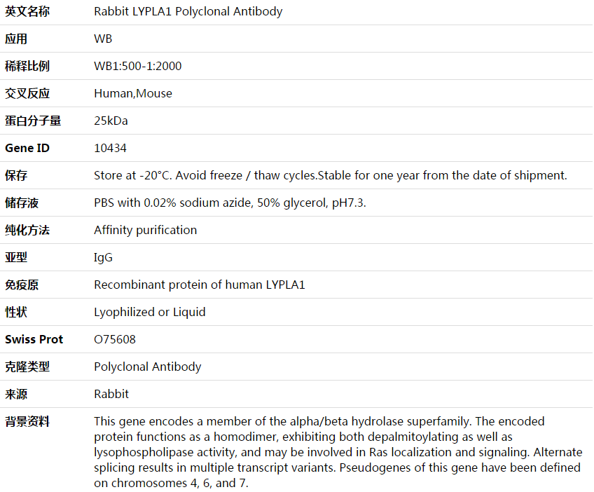 LYPLA1 Antibody,索莱宝,K003796P-50ul