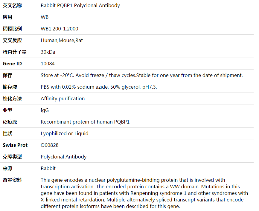 PQBP1 Antibody,索莱宝,K003788P-100ul