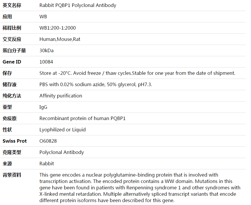 PQBP1 Antibody,索莱宝,K003788P-50ul