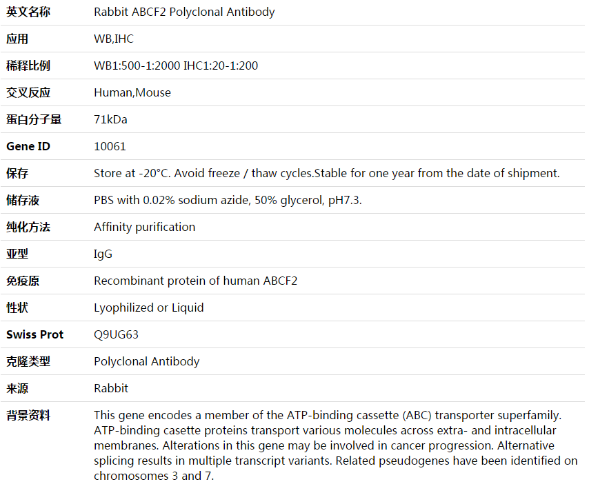 ABCF2 Antibody,索莱宝,K003786P-50ul
