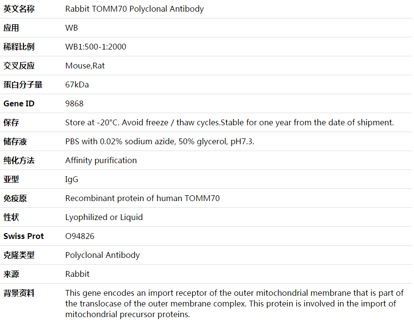 TOMM70 Antibody,索莱宝,K003785P-100ul