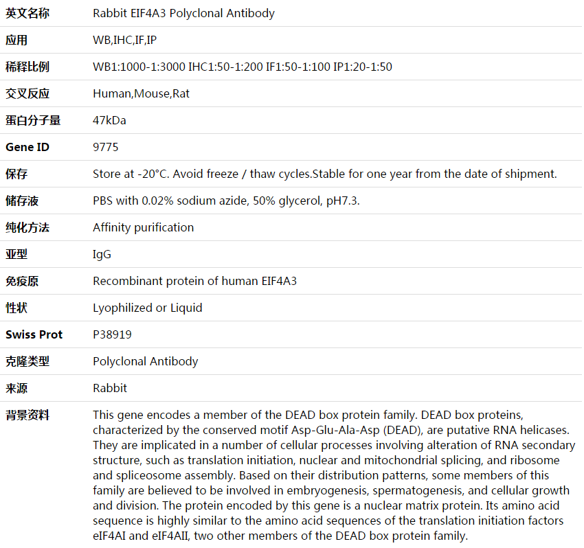 EIF4A3 Antibody,索莱宝,K003782P-50ul