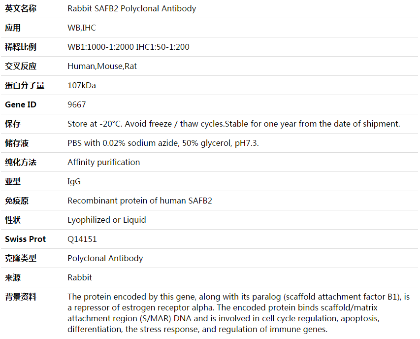 SAFB2 Antibody,索莱宝,K003781P-50ul