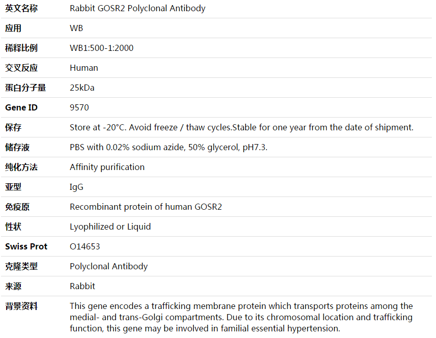 GOSR2 Antibody,索莱宝,K003780P-50ul
