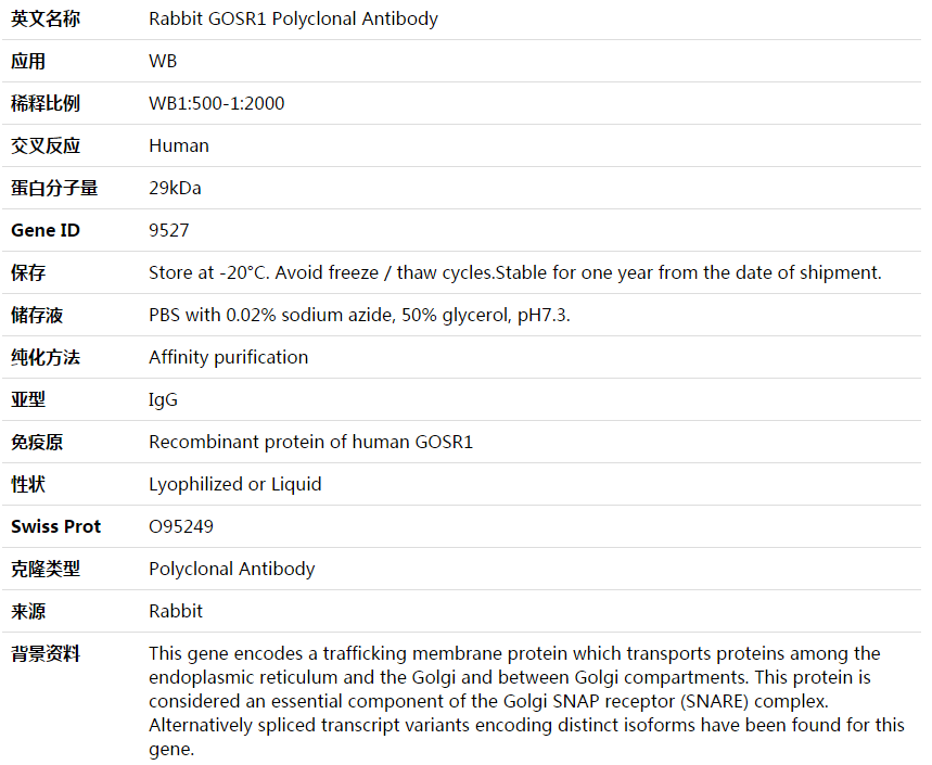 GOSR1 Antibody,索莱宝,K003779P-50ul