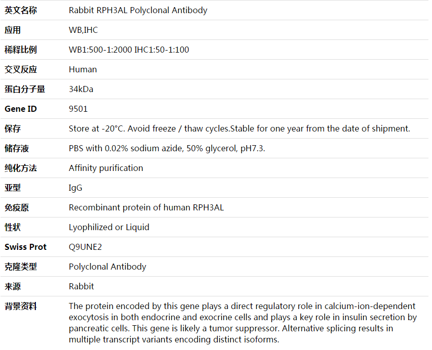 RPH3AL Antibody,索莱宝,K003777P-50ul