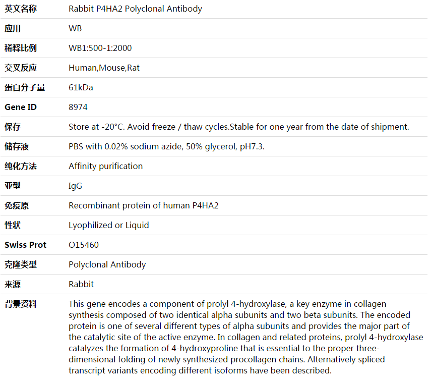 P4HA2 Antibody,索莱宝,K003771P-100ul
