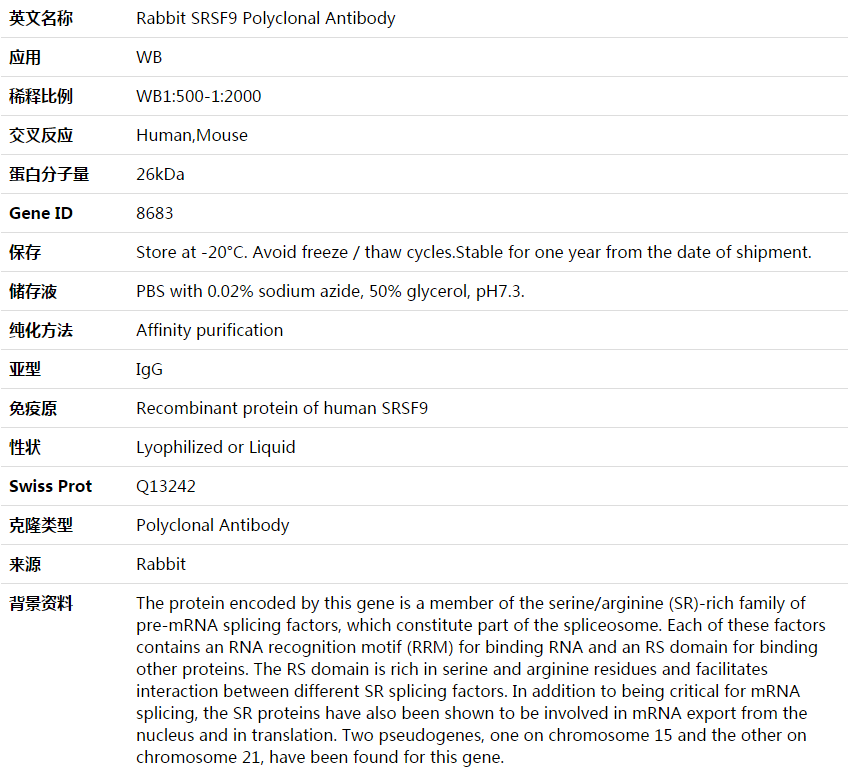 SRSF9 Antibody,索莱宝,K003769P-100ul