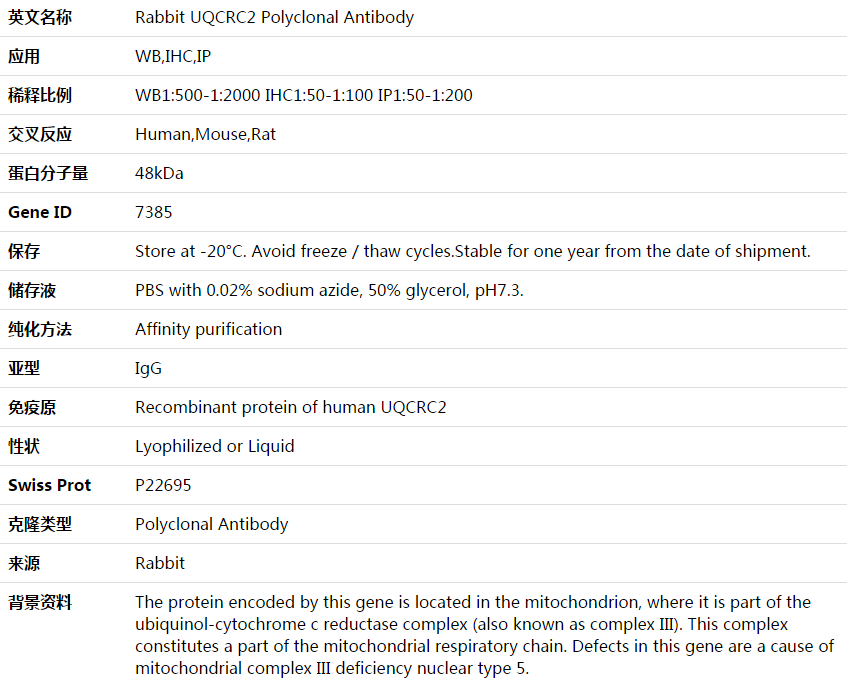 UQCRC2 Antibody,索莱宝,K003760P-50ul