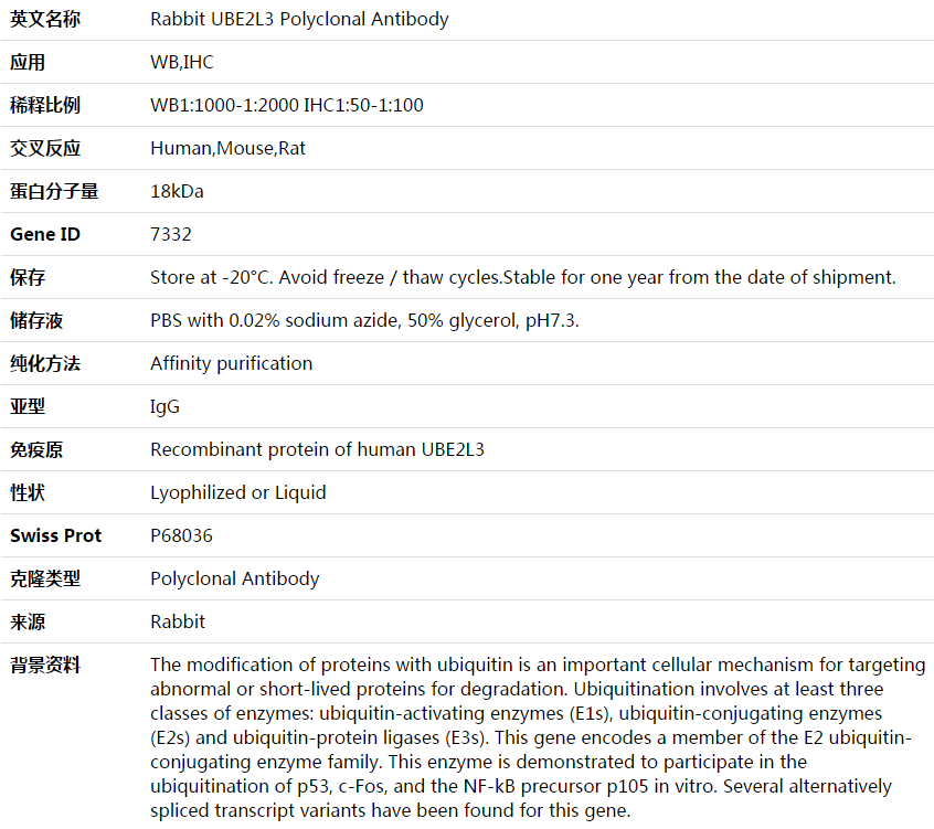 UBE2L3 Antibody,索莱宝,K003759P-100ul