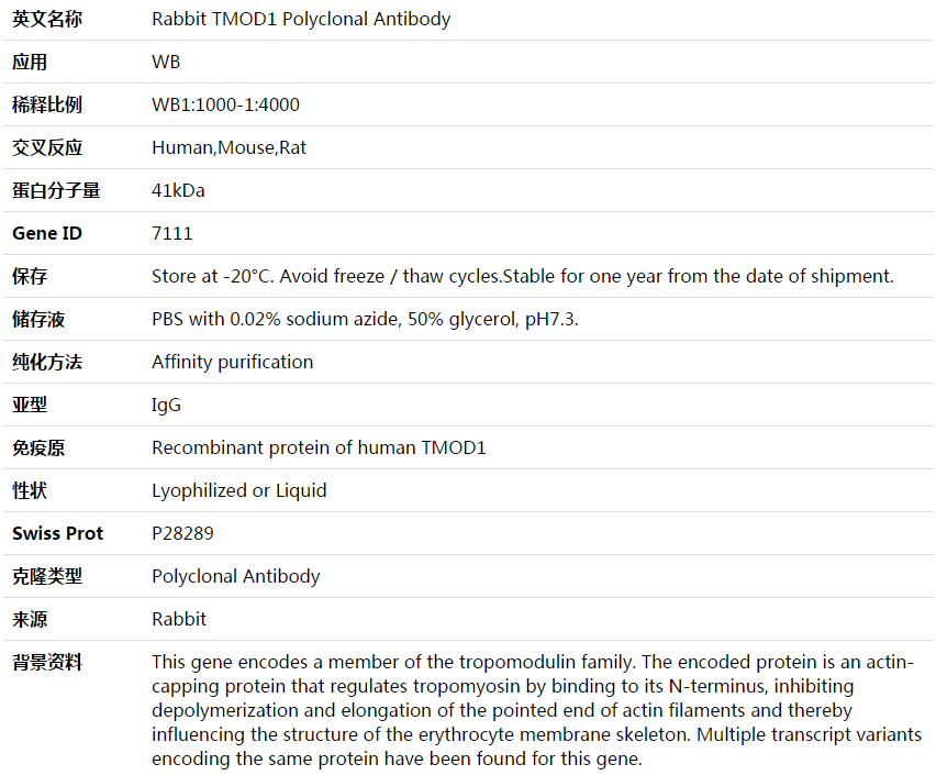 TMOD1 Antibody,索莱宝,K003758P-100ul