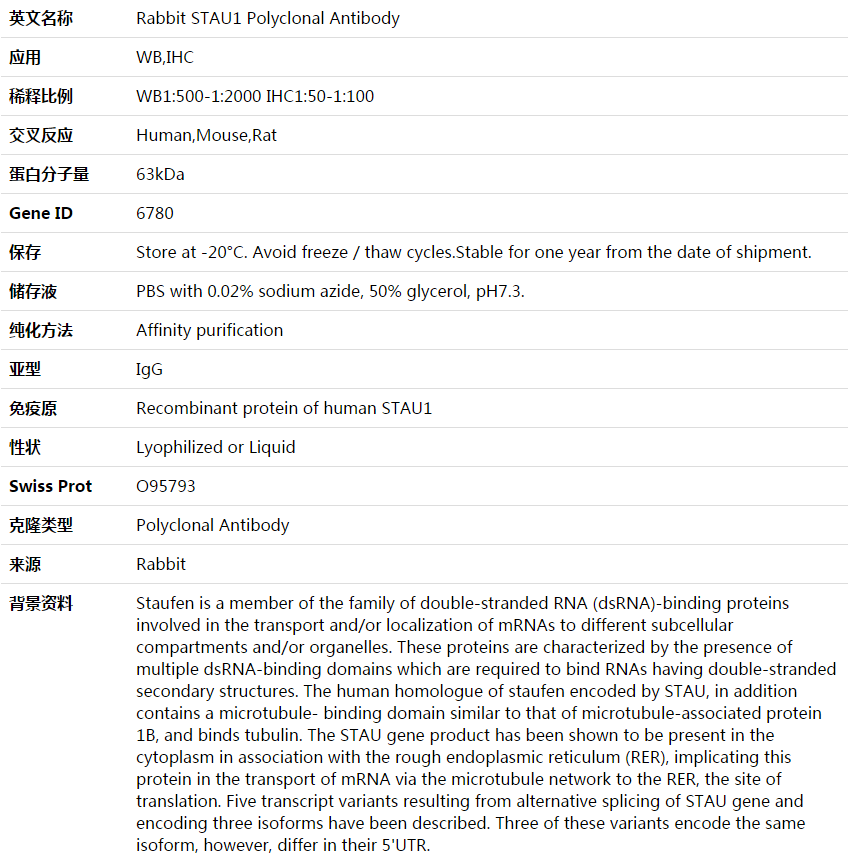 STAU1 Antibody,索莱宝,K003755P-50ul