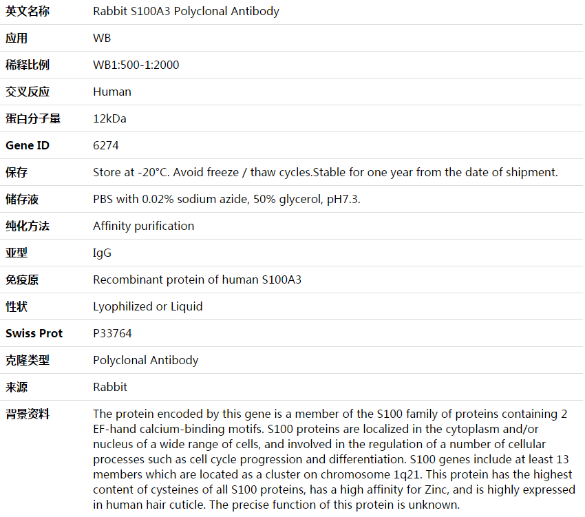 S100A3 Antibody,索莱宝,K003750P-100ul