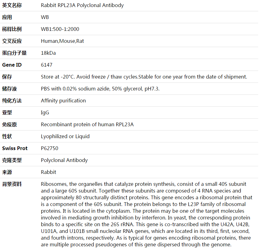 RPL23A Antibody,索莱宝,K003749P-100ul