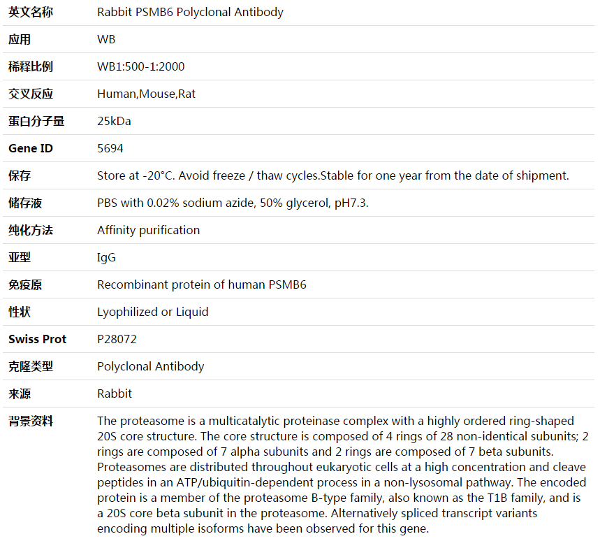 PSMB6 Antibody,索莱宝,K003745P-100ul