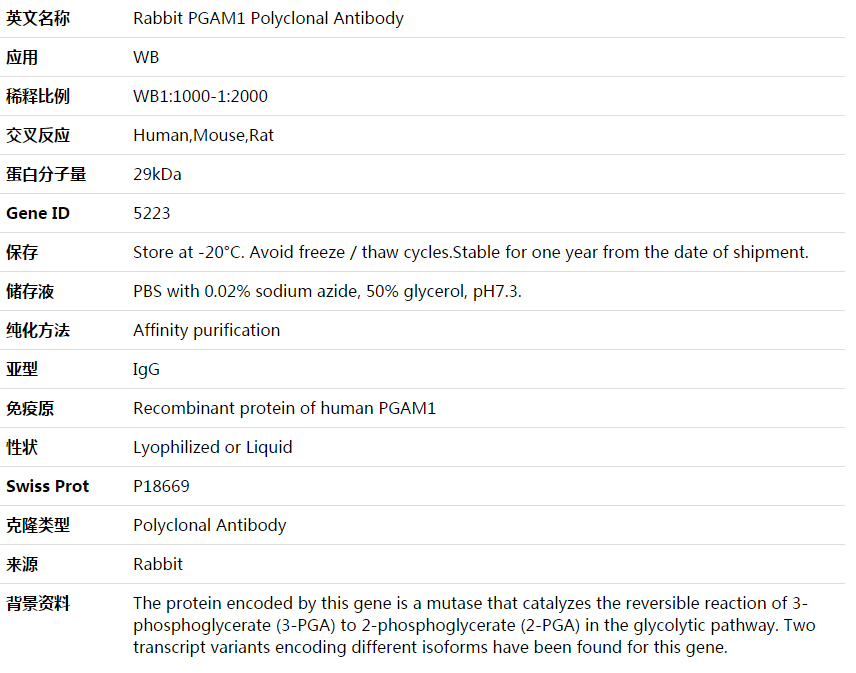 PGAM1 Antibody,索莱宝,K003739P-50ul
