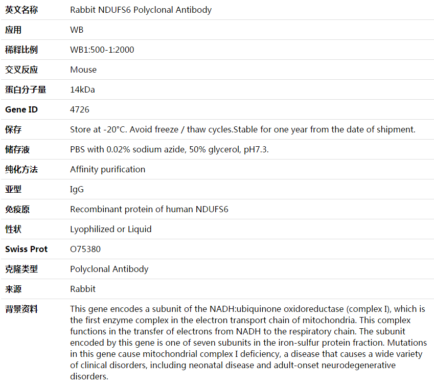 NDUFS6 Antibody,索莱宝,K003735P-100ul