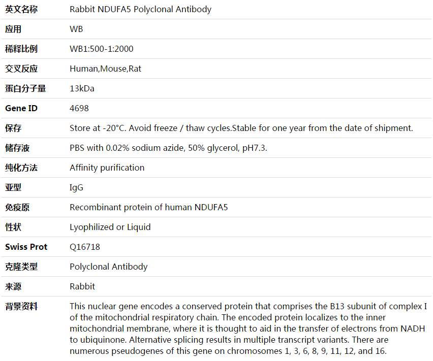 NDUFA5 Antibody,索莱宝,K003733P-50ul