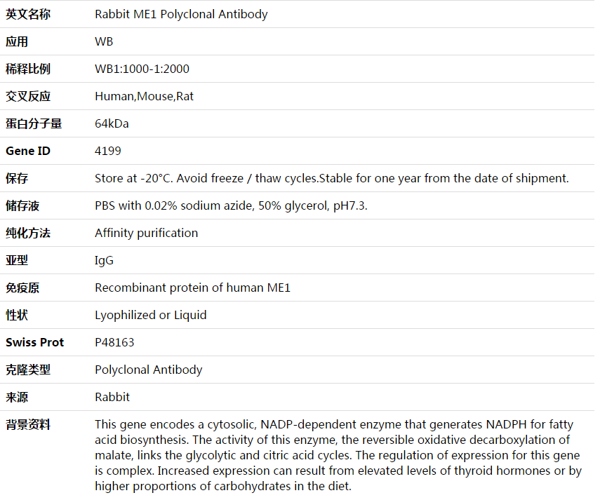 ME1 Antibody,索莱宝,K003731P-50ul