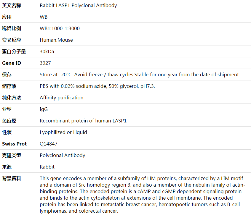 LASP1 Antibody,索莱宝,K003730P-100ul