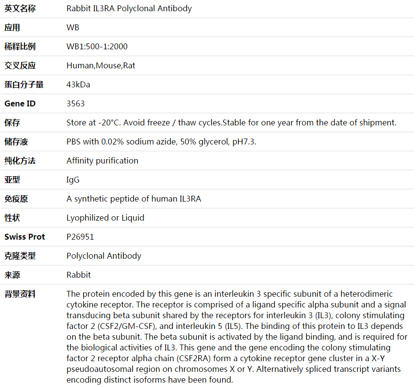 IL3RA Antibody,索莱宝,K003728P-50ul