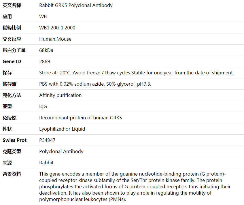 GRK5 Antibody,索莱宝,K003721P-100ul