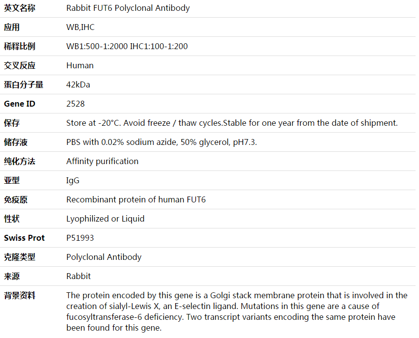 FUT6 Antibody,索莱宝,K003716P-50ul