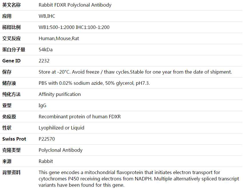 FDXR Antibody,索莱宝,K003715P-50ul