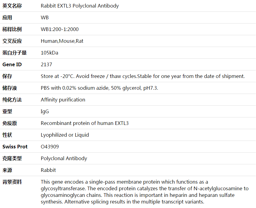 EXTL3 Antibody,索莱宝,K003714P-50ul