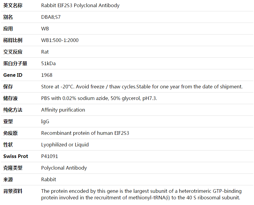 EIF2S3 Antibody,索莱宝,K003711P-100ul