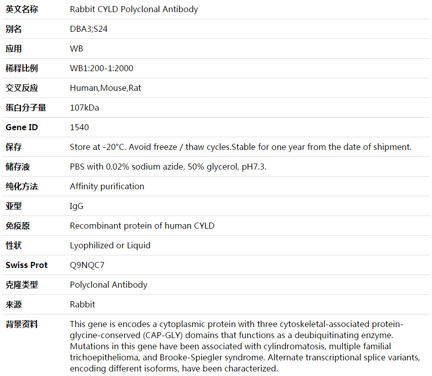 CYLD Antibody,索莱宝,K003708P-30ul