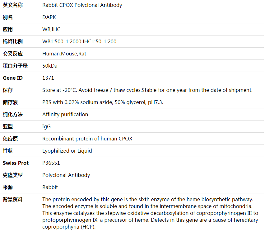 CPOX Antibody,索莱宝,K003705P-50ul