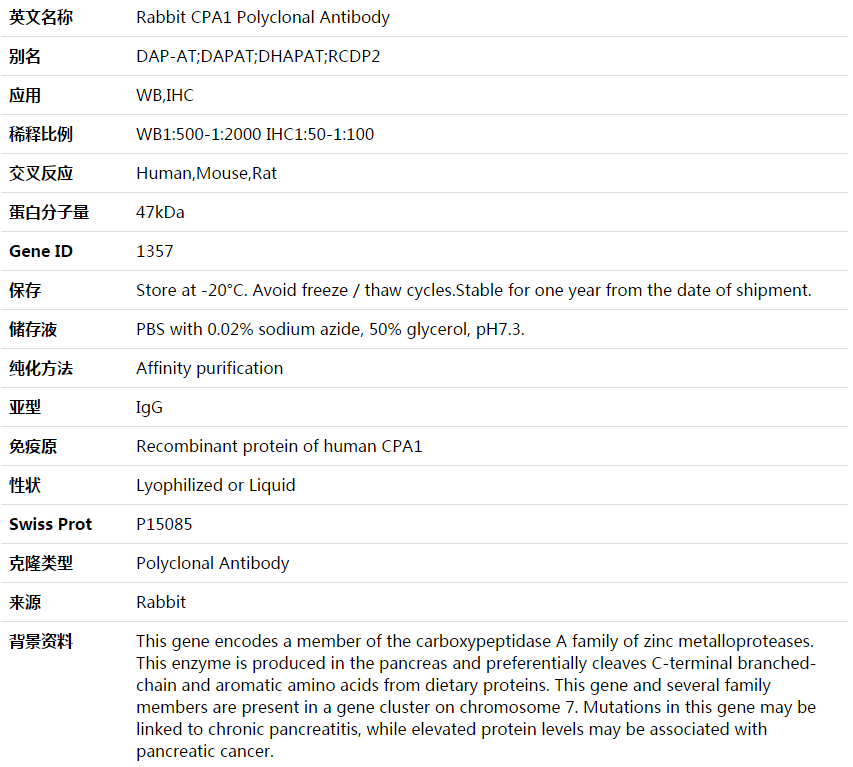 CPA1 Antibody,索莱宝,K003704P-50ul