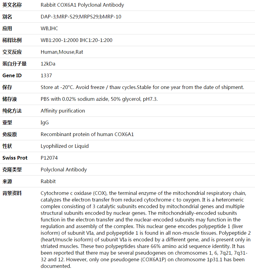 COX6A1 Antibody,索莱宝,K003703P-100ul