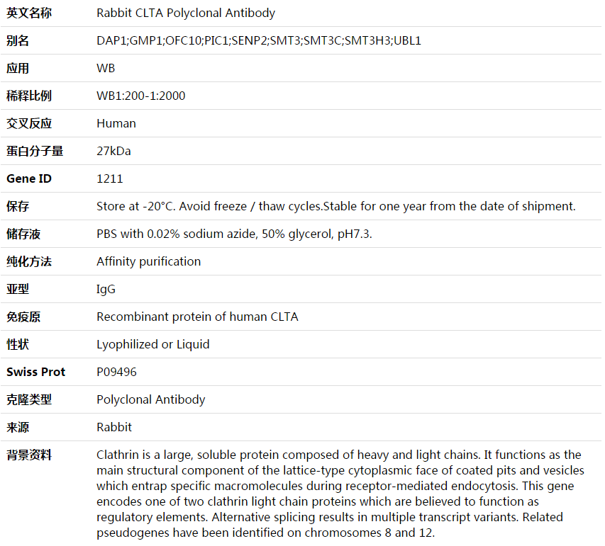 CLTA Antibody,索莱宝,K003701P-100ul